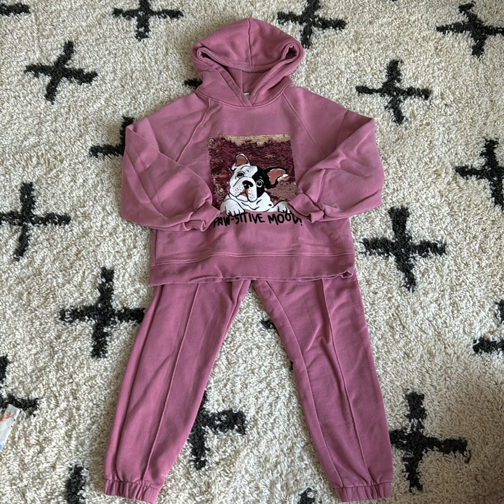 Zara hoodie and sweatpants set